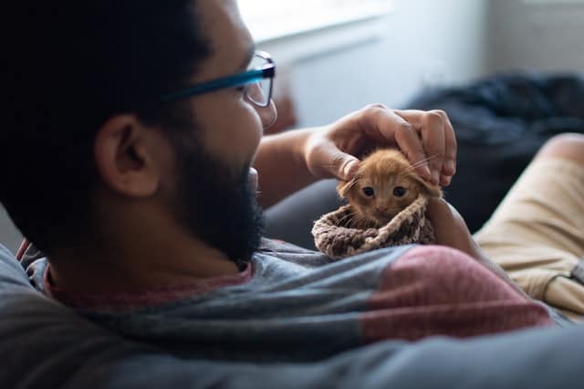 Man spends time with his newly insured indoor cat