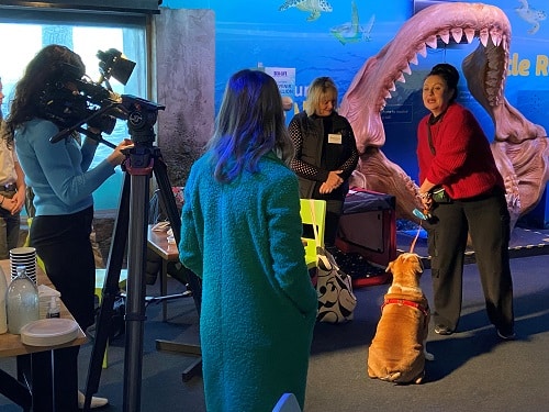 Sea Week Conference for World Ocean Day and marine conservation