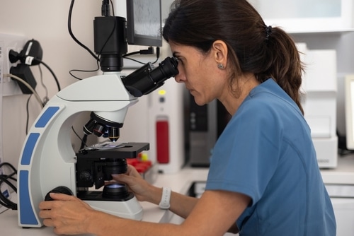 Veterinarian looks through a microscope that uses AI technology for slide reading results 