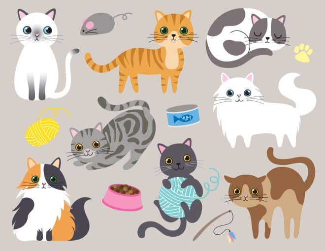 Animated cats like Meow the Pet Cat and Tabby Cat Chrome extension bring virtual cats to your desktop