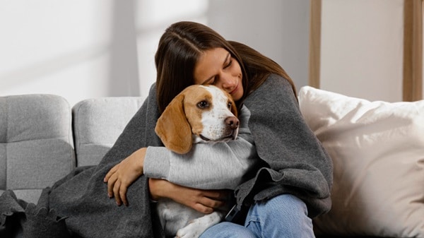 A woman sits on a sofa, wrapped in a gray blanket, hugging a beagle dog, showing how to keep your pet warm and cozy during the winter months.