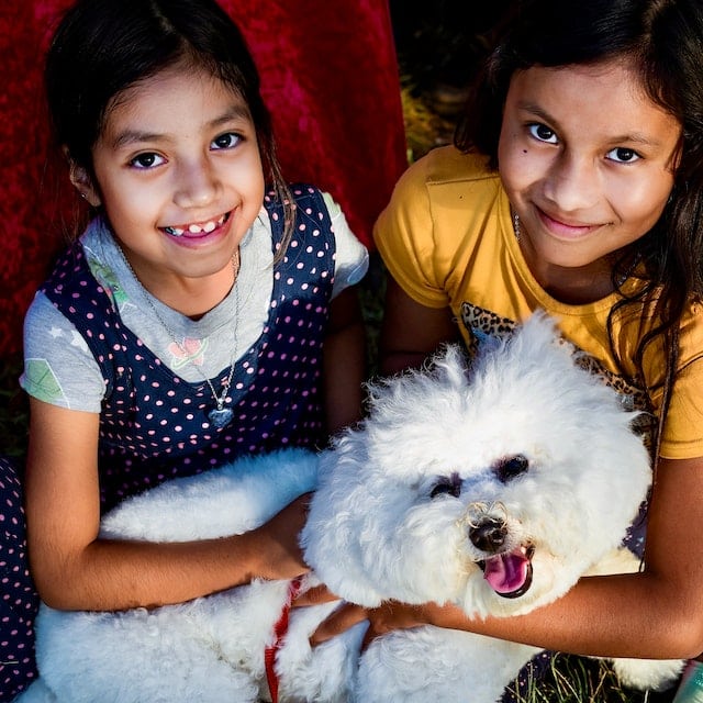 This bichon frise sits with his two favourite people, sisters who are his human family. 