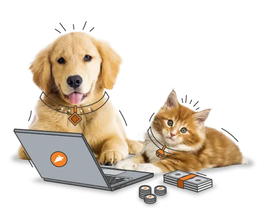 PD Insurance Claims