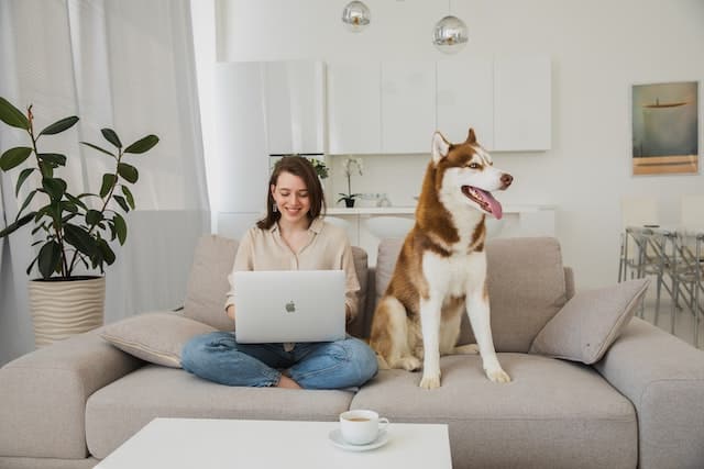 a woman signs up for her Huskie dog's first pet insurance plan