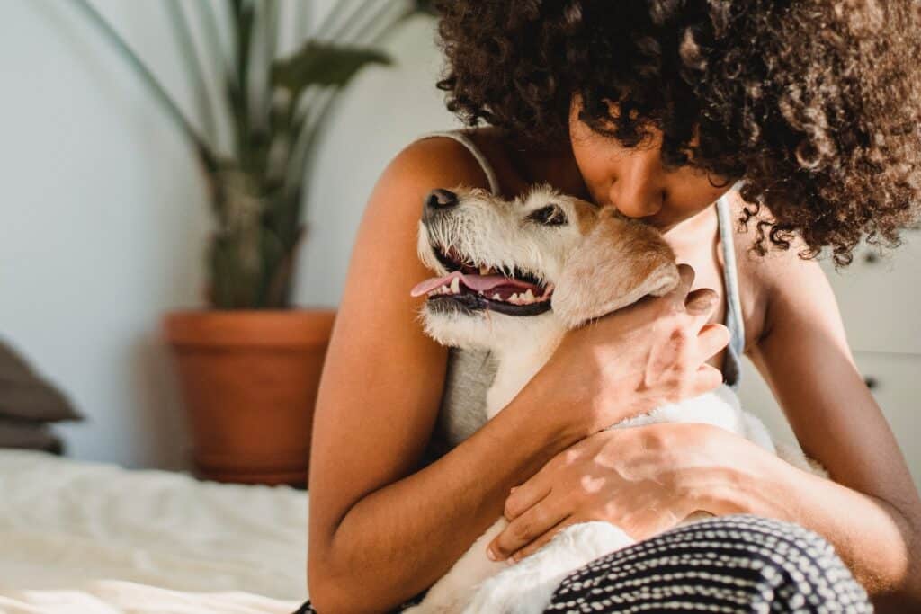 Even though this lady cuddling an older dog wanted to adopt a brand-new puppy, this furball melted her heart instead.