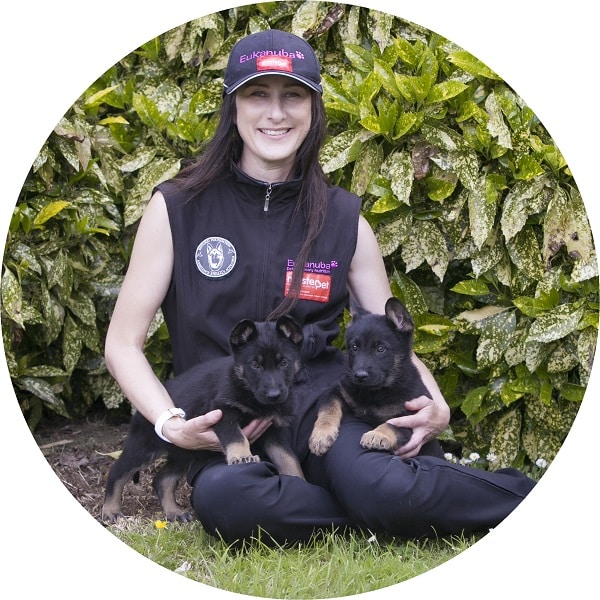 2) Merenia with donated German Shepherd puppies.
'(C) Bernadette Peters. All Rights Reserved'.
Caption as 'Merenia, KFAAA Xena and KFAAA Mia'