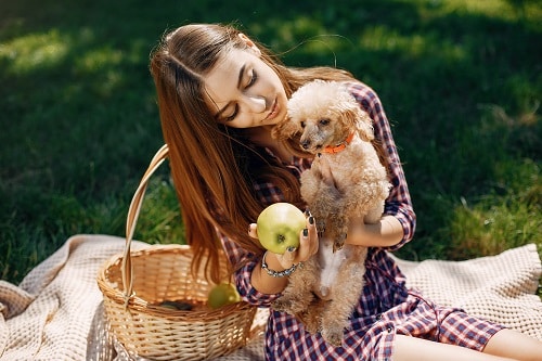 This dog is ready to eat delicious fruit that is safe for pets.