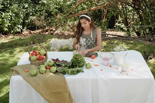 A dog owner preparing vegetables that are safe for pets. There are veg and fruits dogs and cats can eat.
