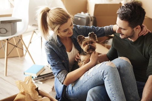 An image of a couple with their adorable dog on their lap considering all their pet insurance options.