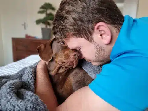 A man in a blue shirt rests his forehead against his emotional support dog while cuddling on a bed.