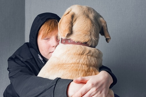 A teenage redhead boy dressed in a dark sweatshirt with a hood hugs his Labrador dog,