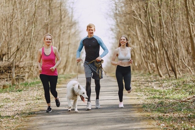 a husband, wife and sister in-law all jog along a footpath together with the family dog 