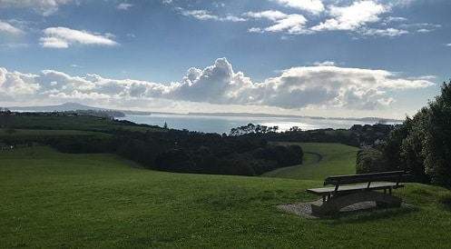 This is a scenic image of Macleans Park - a dog walk in Auckland.
