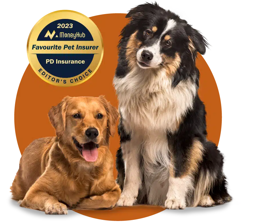 Pet Insurance NZ Quotes Pet Plan Savings PD Insurance