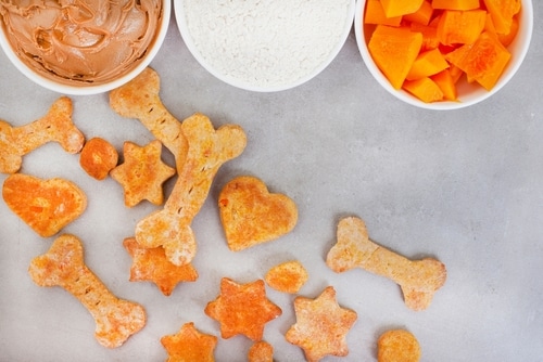 homemade organic dog biscuit and ingredients treats on grey surface with copy space
