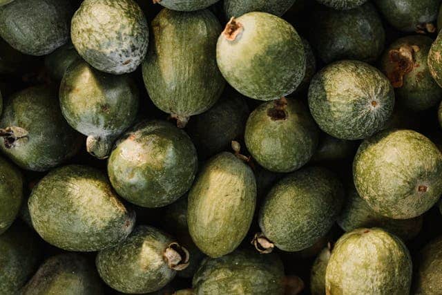 A pile of fresh feijoa fruits that dogs can eat in small quantities if the seeds, skin, stem and leaves are removed completely.