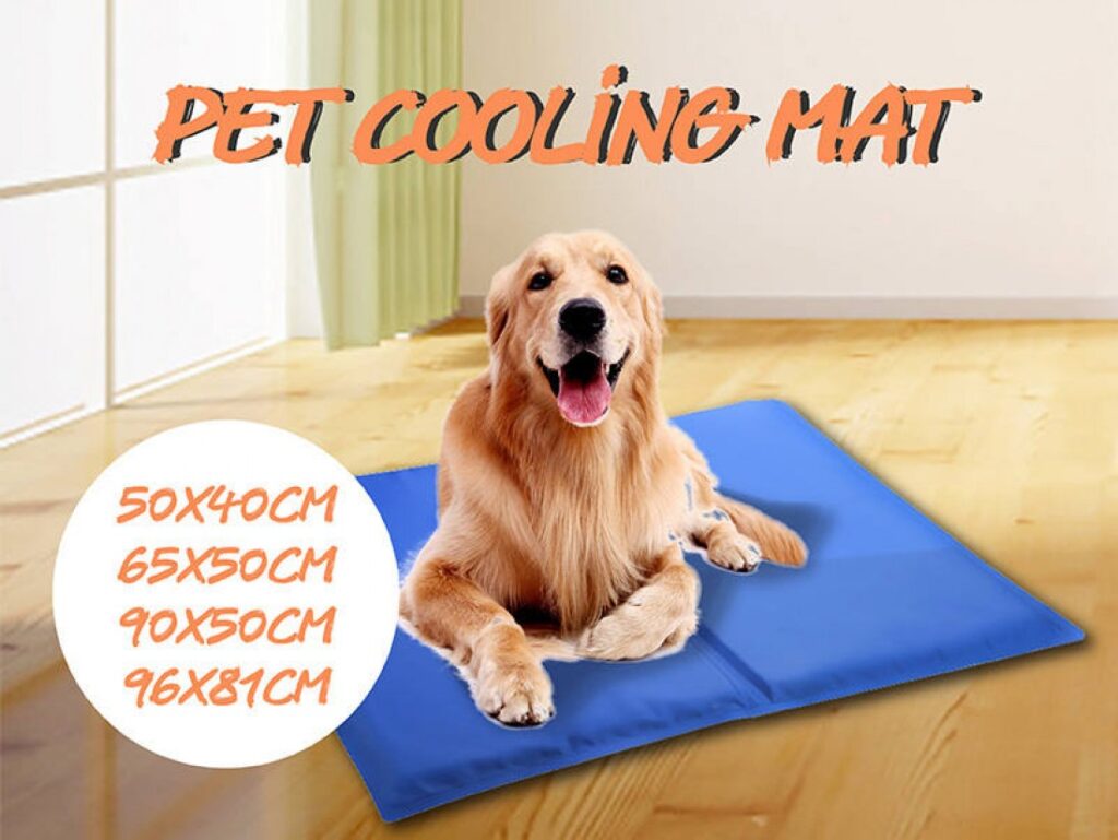 A Golden Retriever dog cools down on a pet cooling mat they received as a good Christmas gift