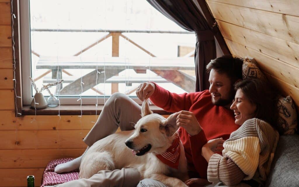 A man and woman sitting on a couch in a cabin with Christmas presents for their dog.