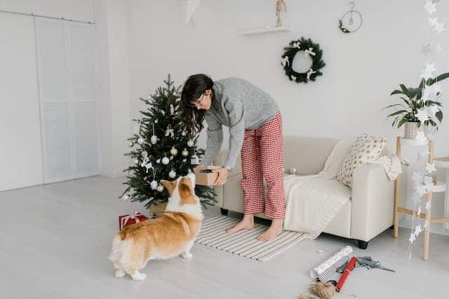 A woman in pajamas playing with her corgi dog in front of a Christmas tree, surrounded by delightful dog Christmas presents.