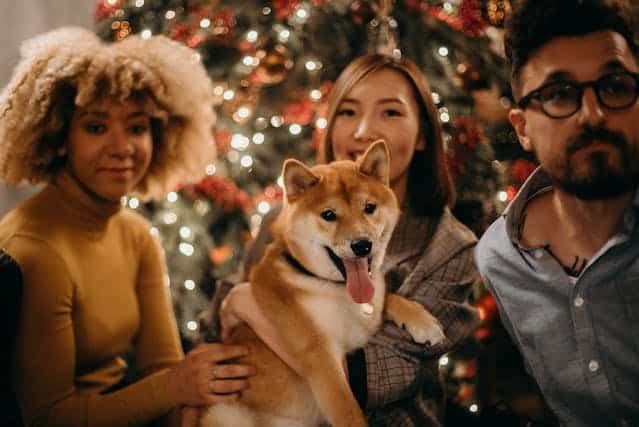 Three friends and housemates hold up their dog with a Christmas tree backdrop for a festive season portrait