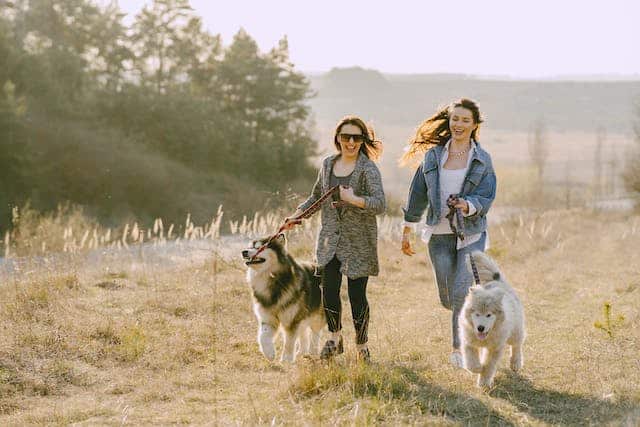 Two woman that are old friends laugh as they try to keep up with their dogs who lead the way running ahead 