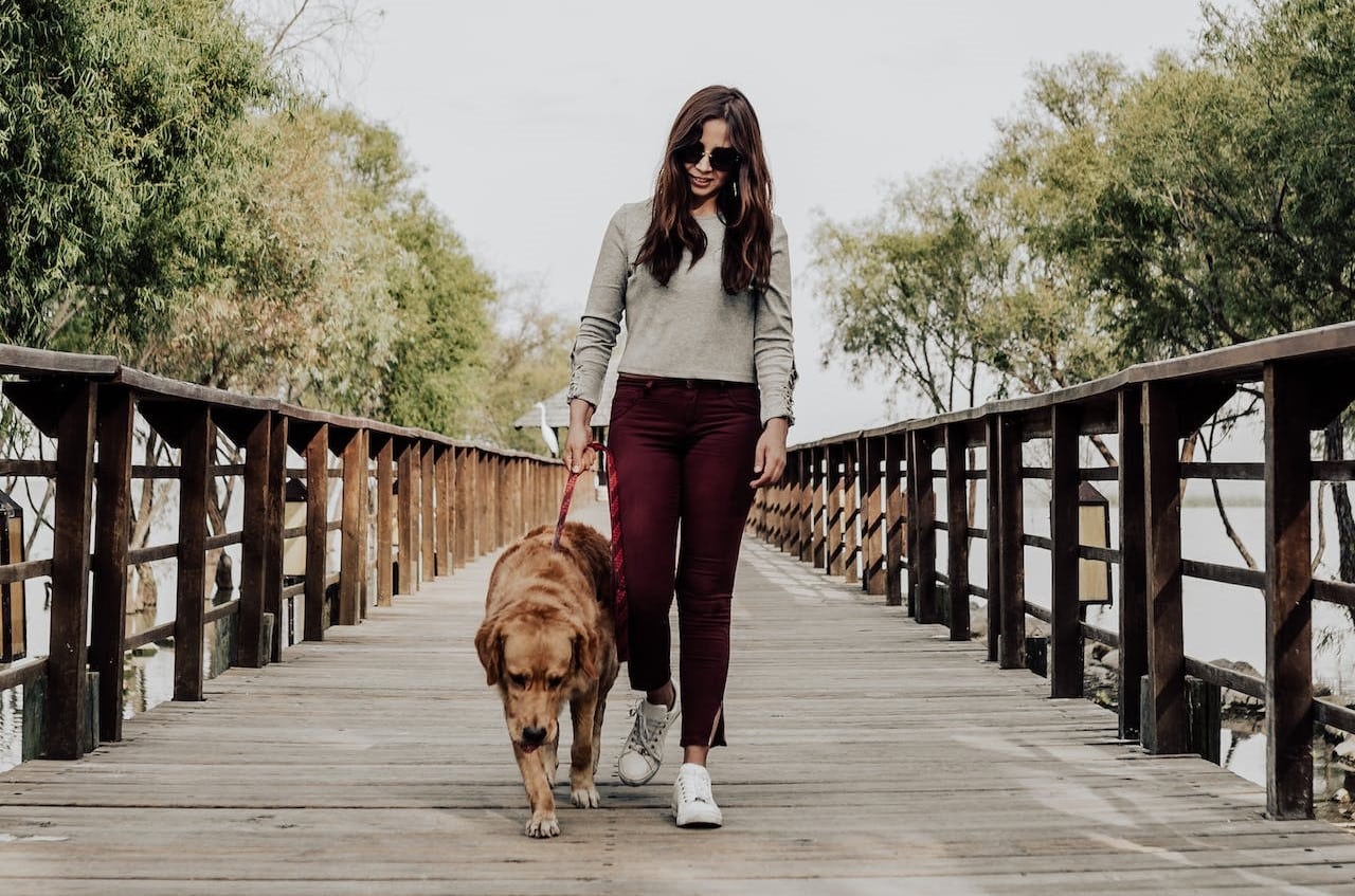 A woman walking her dog on a wooden bridge, holding the dog lead.