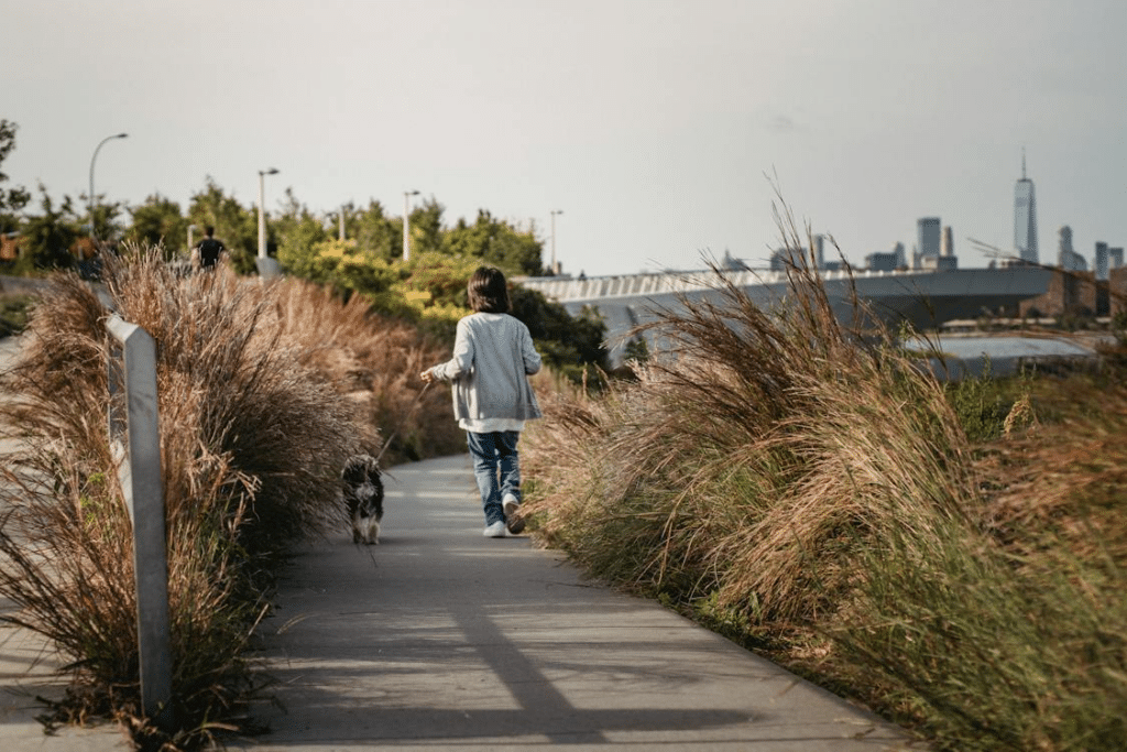 A child walking her dog on a path with tall grass in the background, about to cross over a bridge
