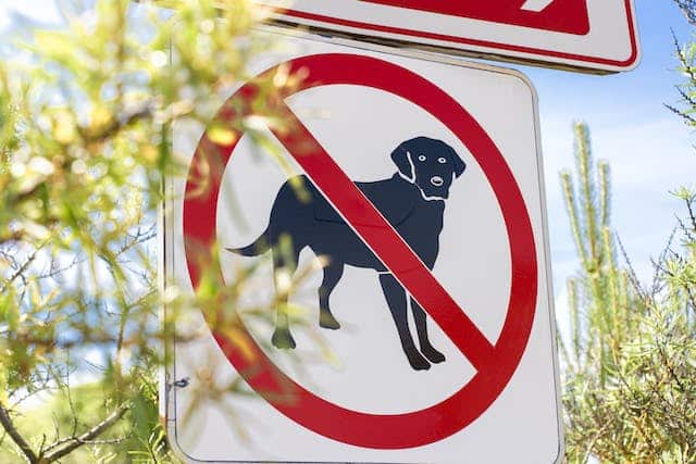 A sign with a black dog on it, featured in a top ten blog post.