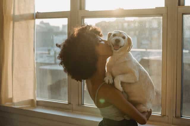 A woman holding a dog in front of a window, pondering about dog health problems.