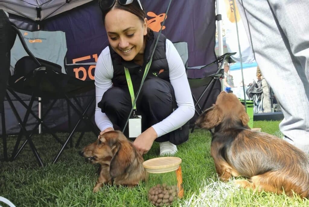 PD Business Development manager, Danielle, pets dogs at a Dogs New Zealand kennel club event