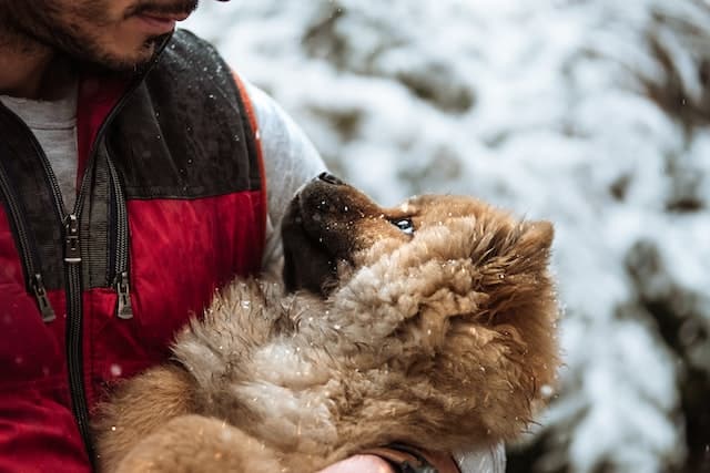 A man holding a dog in the snow, with pet insurance claims coverage.