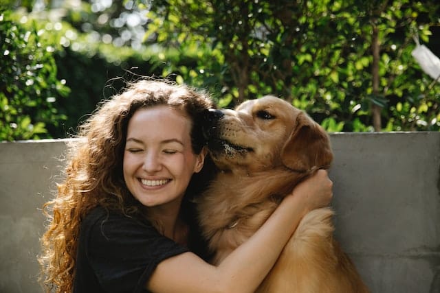 Top 10 pet sales insurance