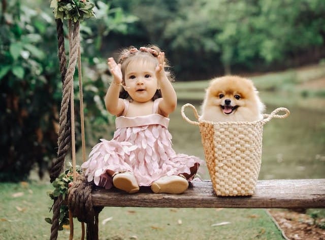 A little girl sits on a wooden bench beside her puppy who is cutely popping its head out of a grass basket