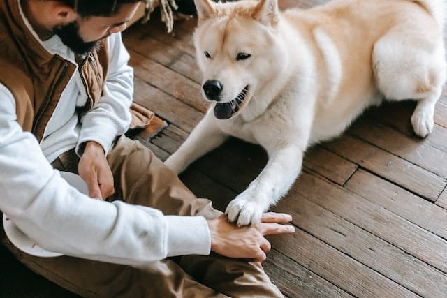 A man playing with a dog on the floor, showcasing his affection for his furry companion.