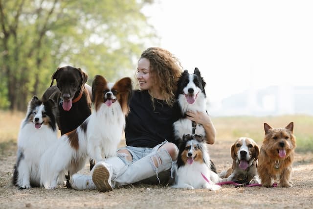 A woman sits on the ground with a group of dogs that are bear one of New Zealand's top 10 dog names