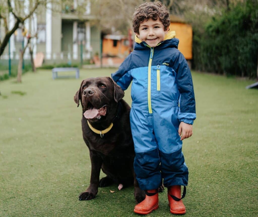 A boy in a blue set of overalls stands with his hand lovingly placed on his chocolate labrador who, now in its old age is safeguarded by dog insurance 