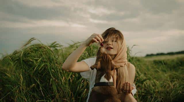 A woman feeding a dog healthy raw snacks in a field as part of her dog health plan.