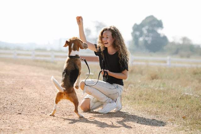 A woman playing with a dog on a dirt road.
