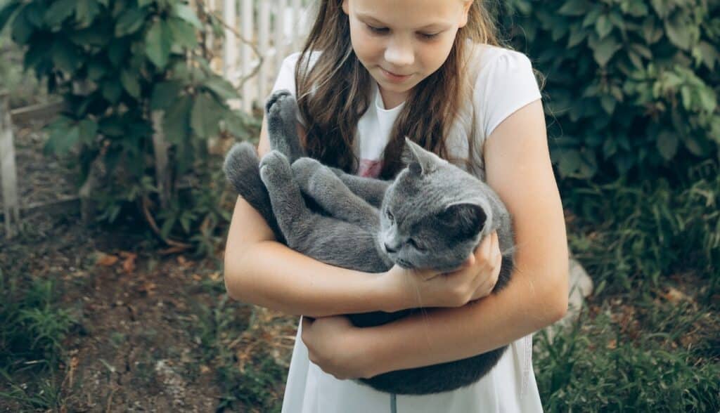 A girl is holding a grey cat in her arms.