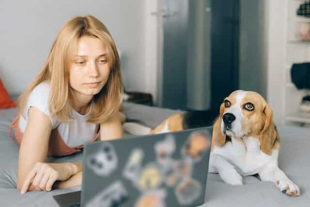 A woman is laying on a bed with her dog next to her laptop, contemplating whether to buy pet insurance in light of the New Zealand recession.