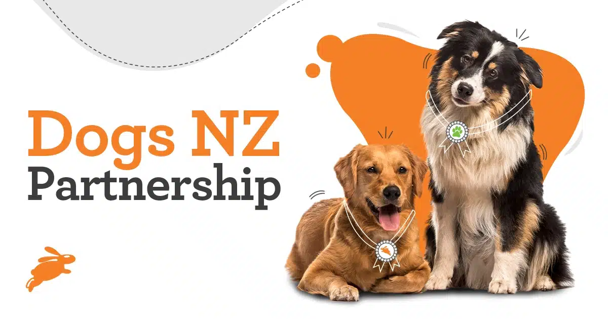 Dogs NZ Partnership with PD Insurance