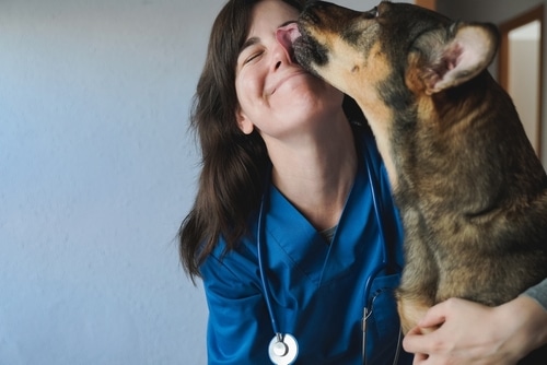 In celebration of World Vet Day, a woman gently kisses her beloved dog while wearing a stethoscope.