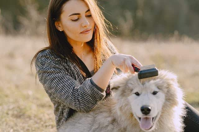 A woman grooming her dog in a field