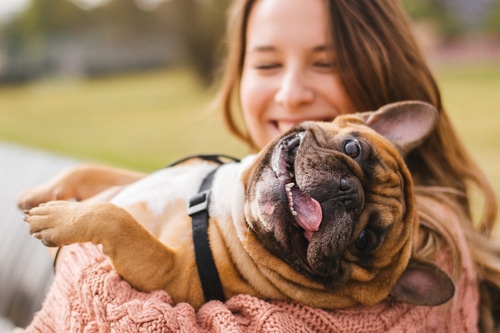 A woman is gently cradling a French Bulldog in her arms.