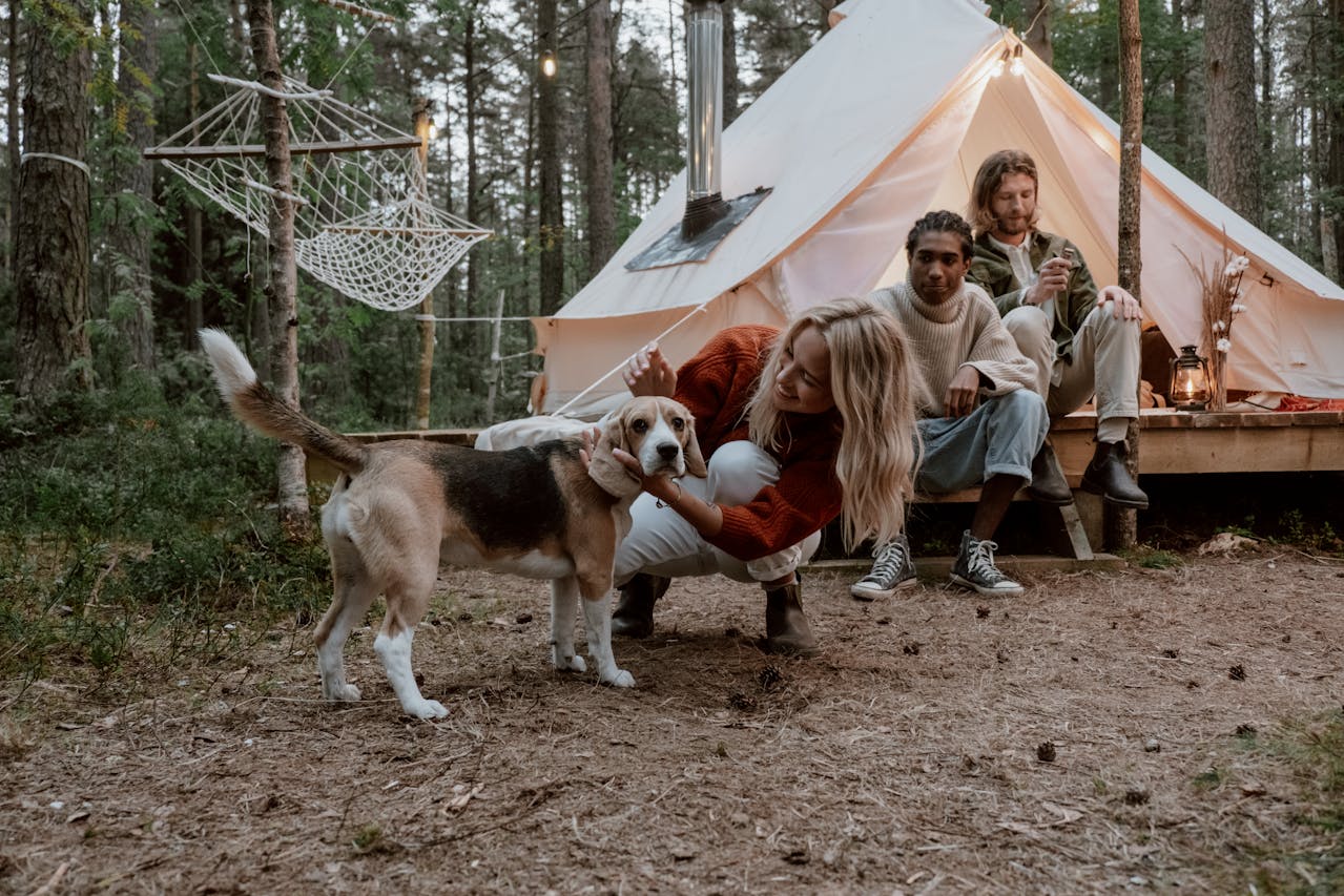 Three friends on a dog-friendly camping trip in NZ. One person petting the dog while the others relax by the tent.