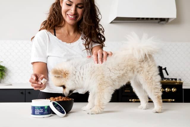 Woman feeds her pup healthy food to reduce the risk of bacteria that lead to dental calculus on her dog's teeth
