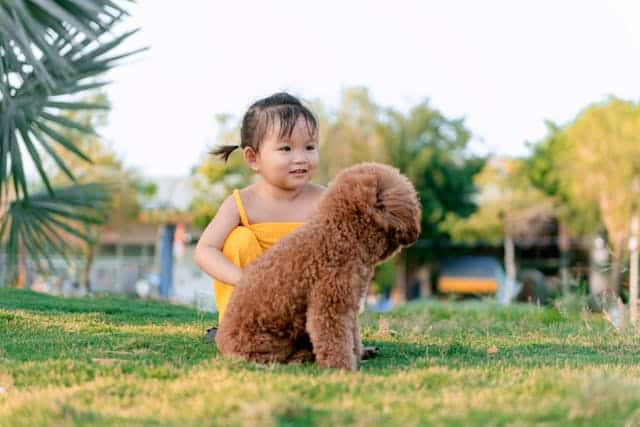 A young child in a yellow outfit is sitting on the grass, smiling at a brown fluffy dog in a park setting