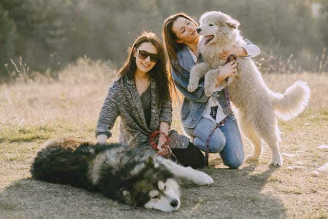 Two women with dogs in an outdoor setting; one woman is kneeling, holding a leash of a dog lying on the ground, and the other is sitting, hugging a standing fluffy dog as they discuss pet insurance benefits.
