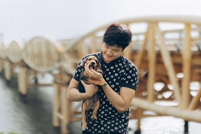 A person in a black patterned shirt holds a small brown and black dog while standing in front of a wooden bridge while wondering "why get pet insurance if my pet is healthy?" 