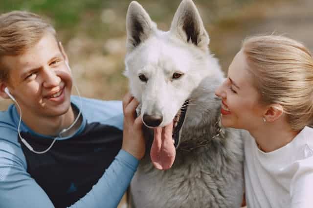 A man and woman smile while petting a large dog with a thick coat and long ears. The dog has its tongue out and appears happy, showcasing why getting pet insurance can be beneficial for ensuring moments like these are always protected.
